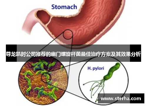 尊龙凯时公司推荐的幽门螺旋杆菌最佳治疗方案及其效果分析